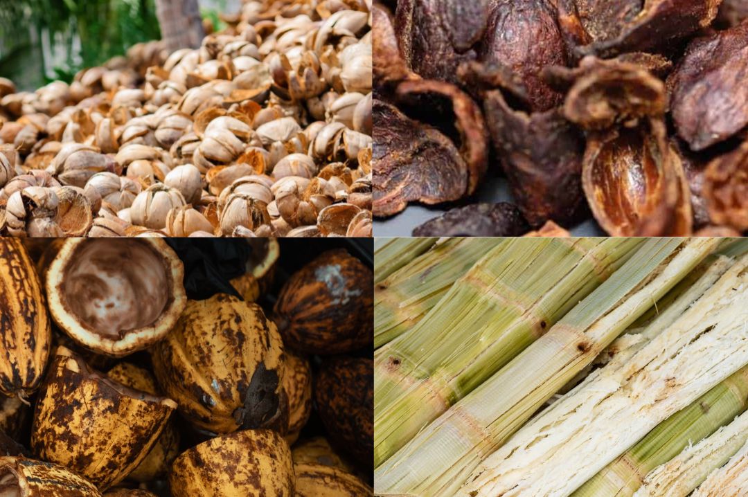 the 4 ingredients of The NetZero Pallet.